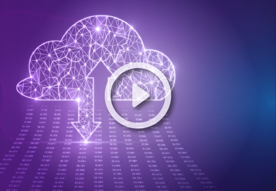 adobe coldfusion standard