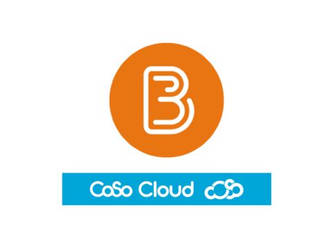 Brightspace LMS Integration