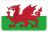 Wales Flag