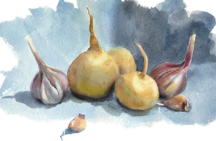 Watercolor Painting Ideas for Beginners 