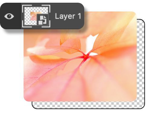 A brightly peach-colored and opaque leaf is featured in close-up with layer dialog box overlaid