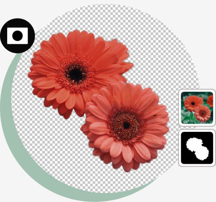 Smart Objects and layer masks are used to isolate red Gerbera daisies with icons overlaid