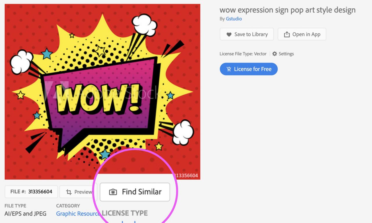 Find Similar filter enabled while searching for Adobe Stock images.