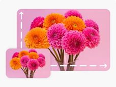 An image showing a few examples of graphic designs with different styles of font.