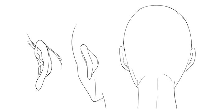 バランスのとれた耳の描き方 エルフ耳 獣耳の描き方や簡単な耳の描き順