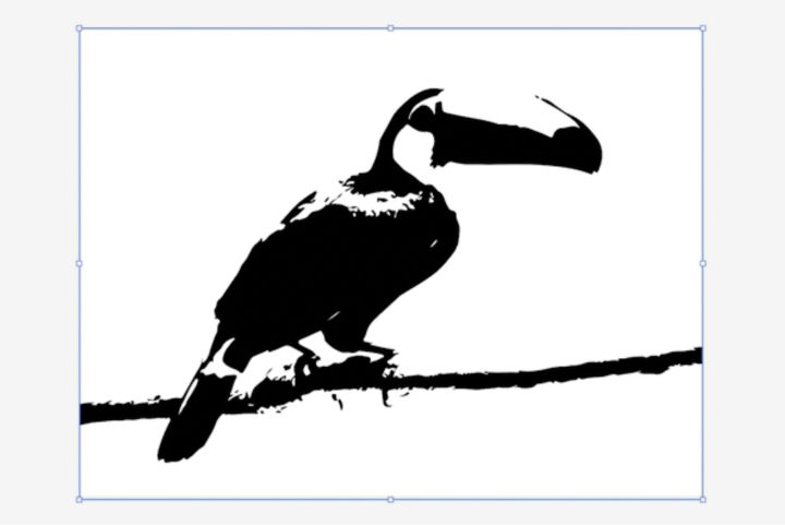Was ist ein vektorisiertes Bild?