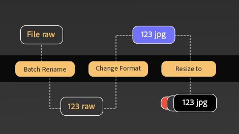 Bulk workflows