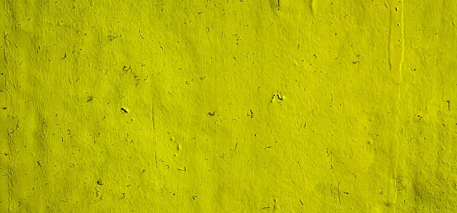 The Color Chartreuse A Complete Guide Adobe