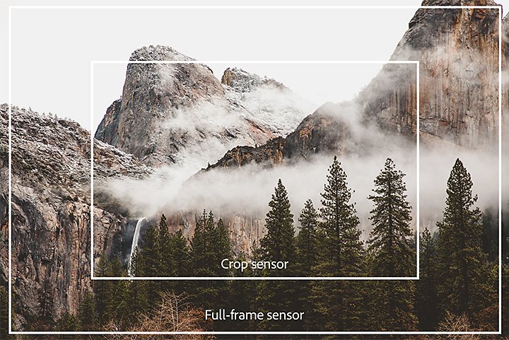 Elementair bedreiging fort Crop sensor vs. full frame | A beginner's guide | Adobe