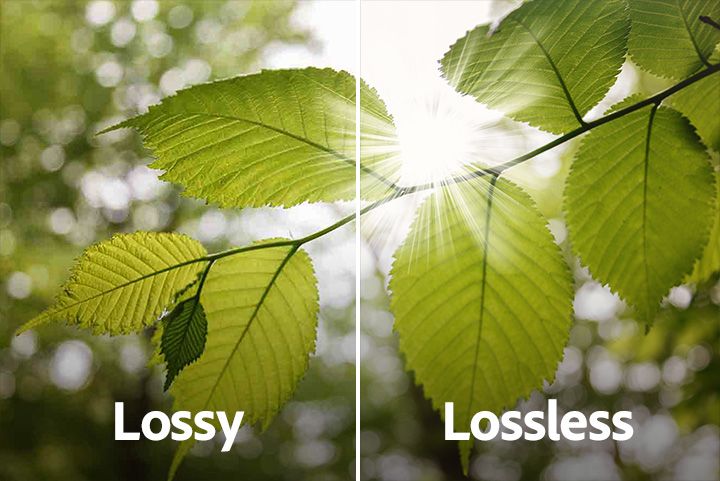 Lossy vs Lossless Compression: Differences & Advantages