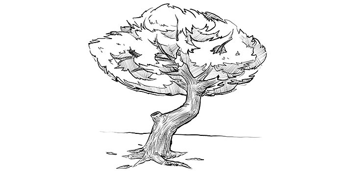 Cómo dibujar un árbol: Tutorial paso a paso | Adobe