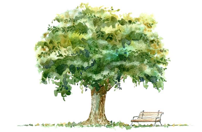 how to draw a realistic tree step by step easy