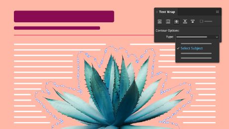 Tips Adobe InDesign adalah sistem gambar yang luar biasa!