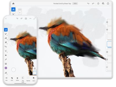 برنامج الرسم والتلوين الرقمي  Adobe