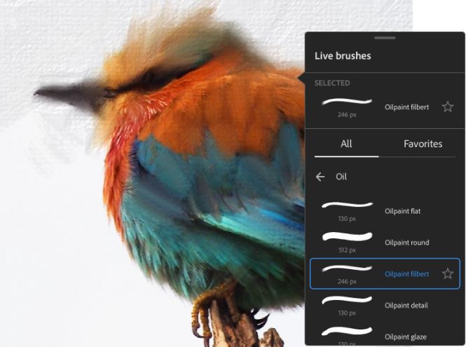 adobe