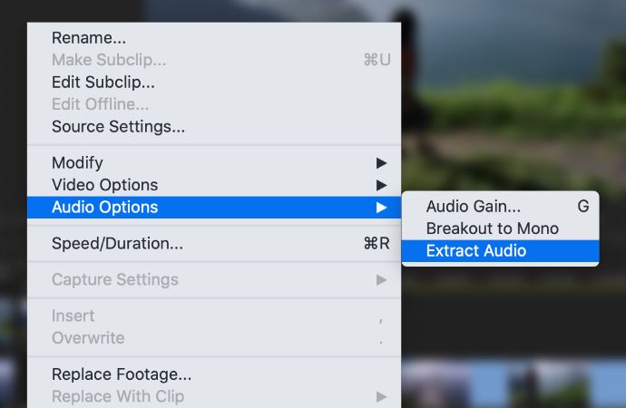 Аудио options. Audio from Video extract. Извлечь аудио из видео. Как извлечь звук из видео after Effects. Андроид извлечь звук