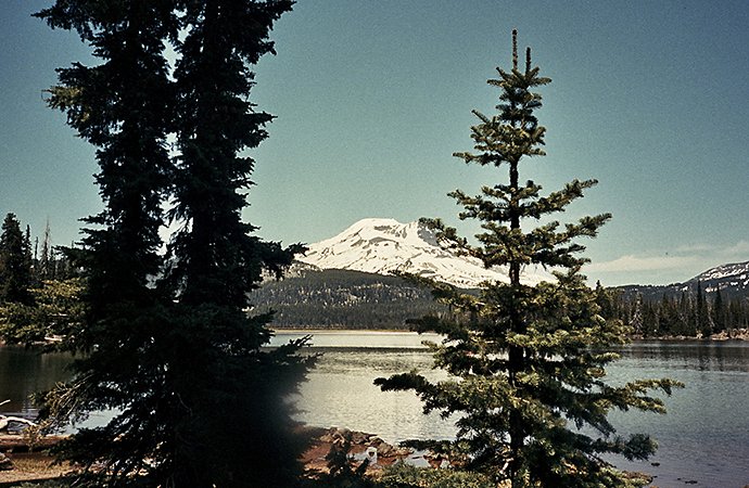 Photo of trees in front of a mountain range taken by a film camera