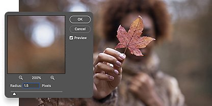 How to blur a background in Photoshop | Adobe