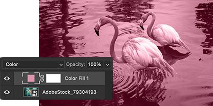 Adding a complete color adjustment to an image using a Solid Color layer