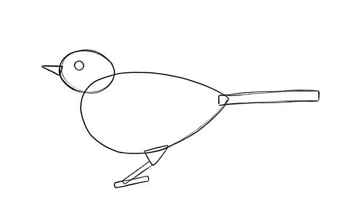 illustration of how to draw a bird.