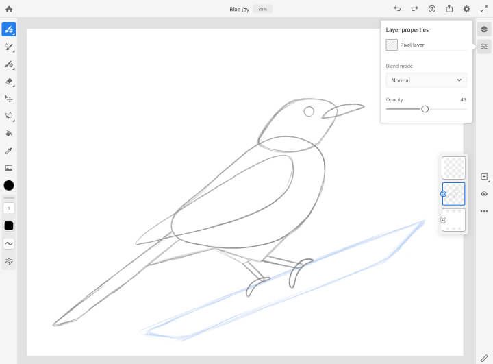 鳥の描き方 Adobe