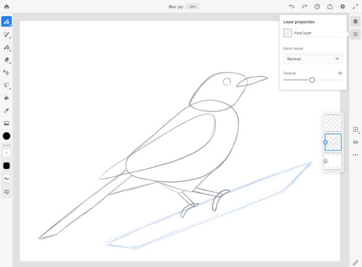 Learn How To Draw A Bird Adobe