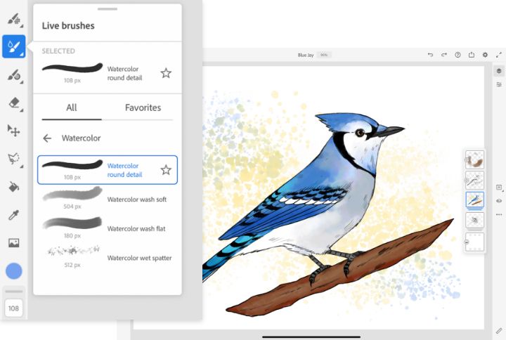 How to draw Blue Jay Bird Easy  Drawing and Coloring Art Tutorial 