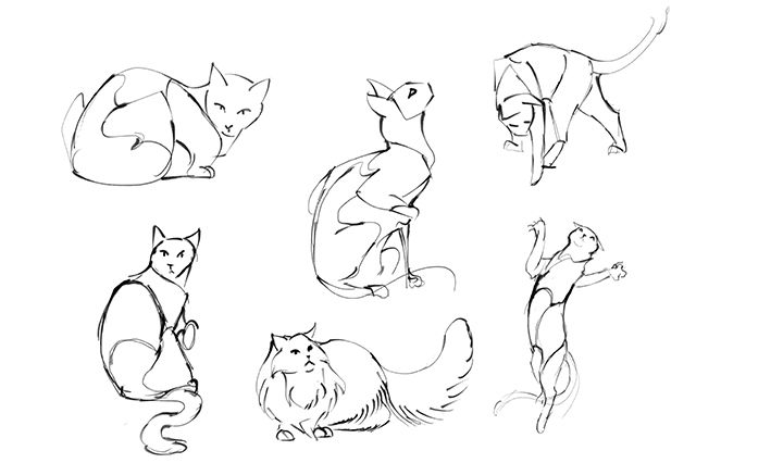 how to draw a cat sketch