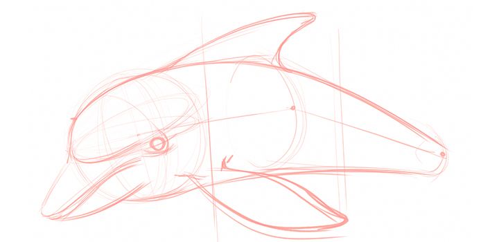 how to draw a dolphin step by step realistic