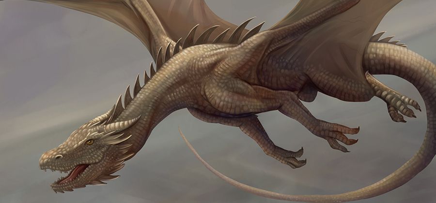 How to draw a dragon: A beginner's guide