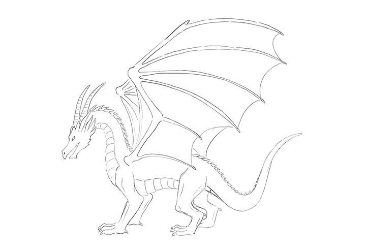 How To Draw A Dragon S Body