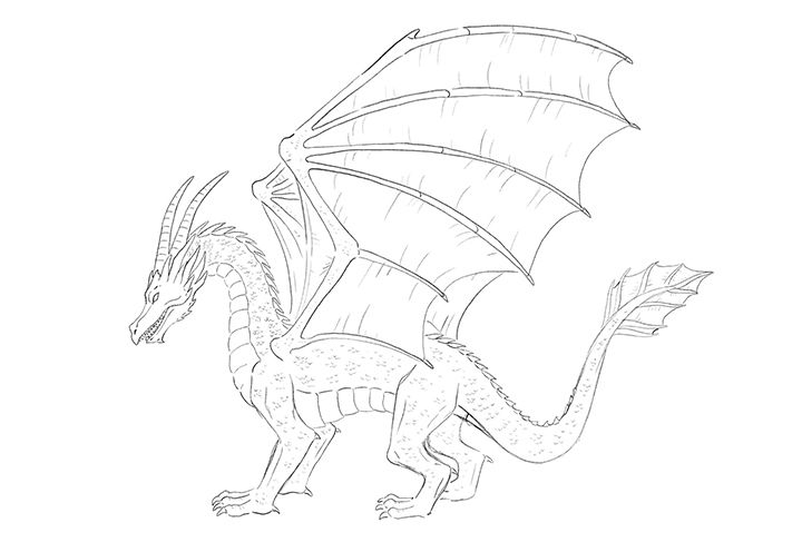 how to draw dragons, How to Draw a Dragon Head, Step by Step, Dragons, Draw  a Dragon