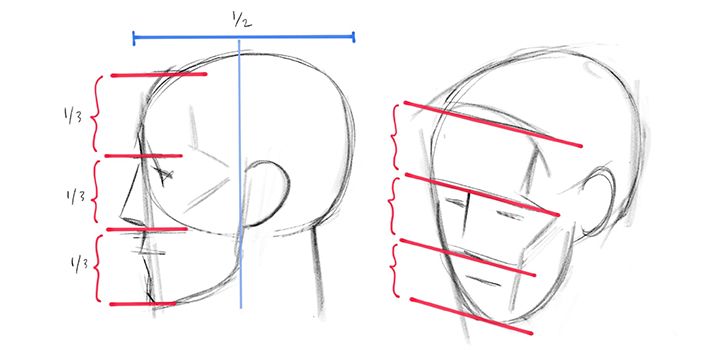 How To Draw Faces And Heads Adobe