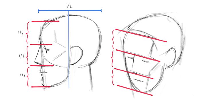 how to draw a human head side view