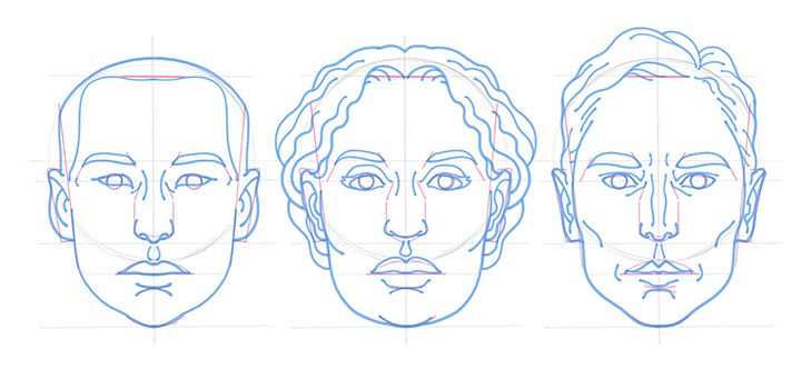 how to draw human faces proportions