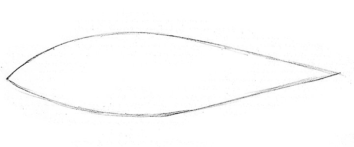 Cómo dibujar un pez de forma sencilla | Adobe