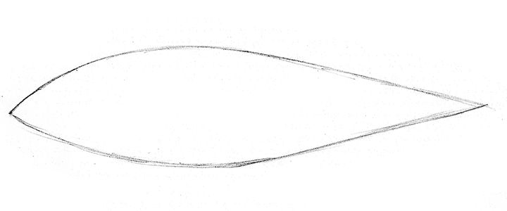 Featured image of post Fish Scales Drawing Reference All the clingfishes family gobiesocidae for example are scaleless