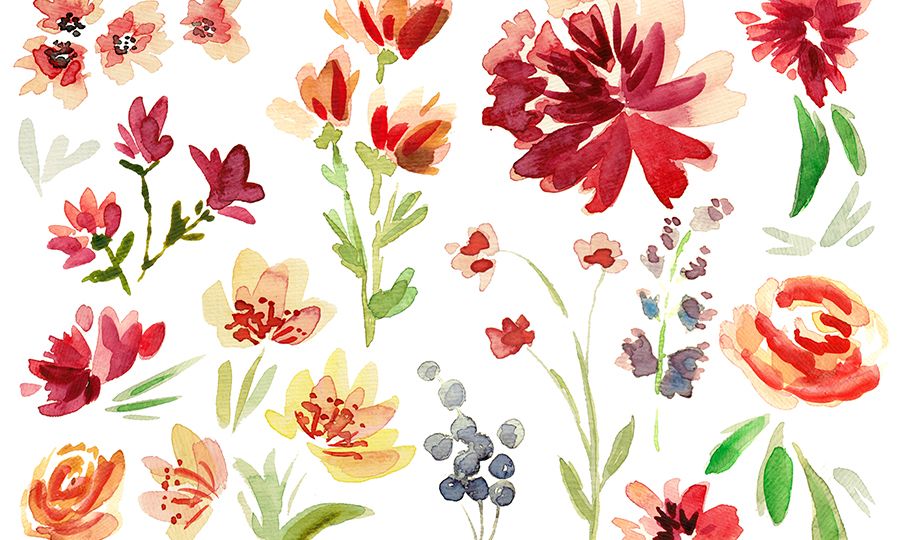 colorful flowers drawings