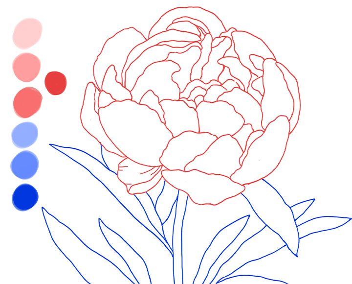 Drawing 8 types of Flowers, How to draw flowers in simple steps