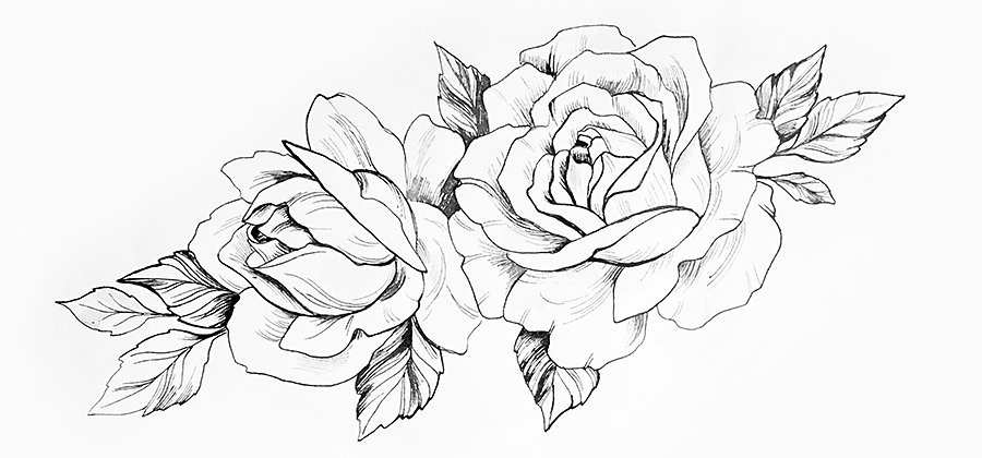 Cómo dibujar una rosa: una guía para principiantes | Adobe