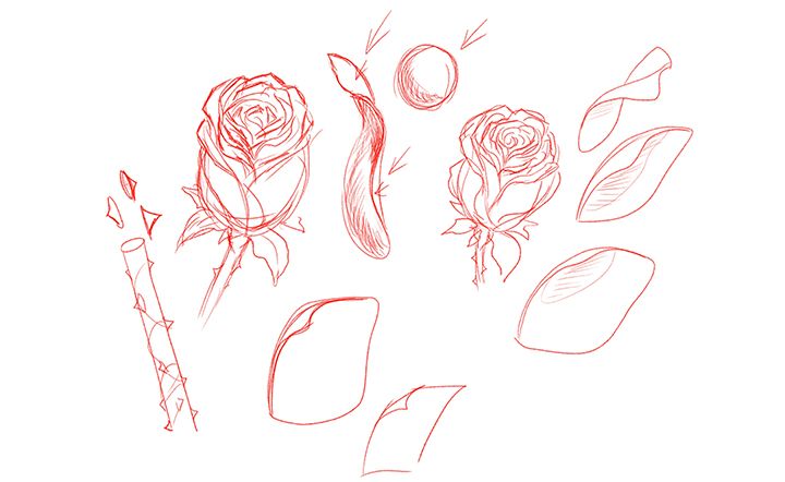 dessins simples de roses au crayon