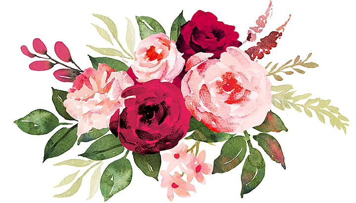 Dornen rose zeichnen mit Wie zeichne