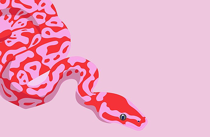 ６ステップで描ける蛇の描き方 Adobe