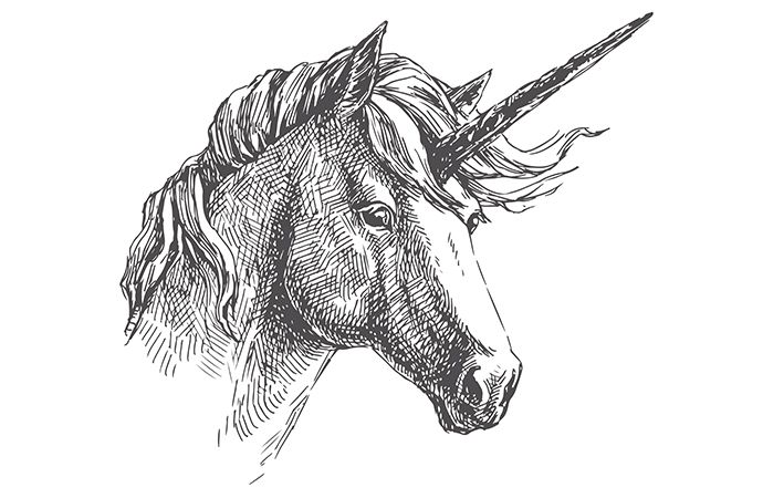 realistic unicorn drawing head