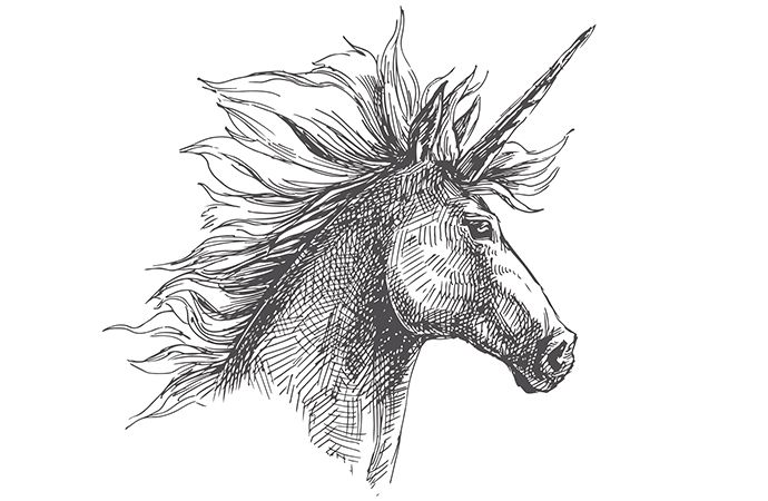 realistic unicorn drawing head