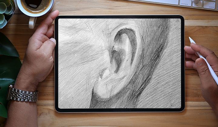 Sketch of an ear on Adobe Fresco