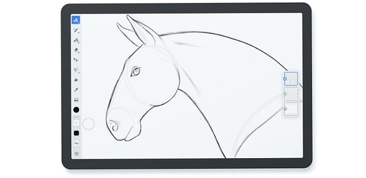 Cómo dibujar un caballo realista paso a paso | Adobe