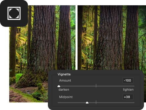 A before and after photo of a tree with a vignette effect applied.