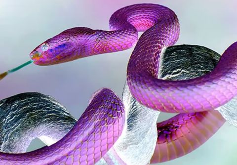 An image of a person walking with inverted colors.