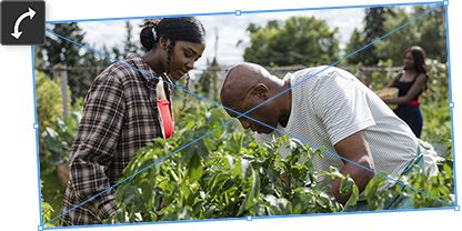 Use the Free Transform tool in Photoshop to completely manipulate the rotation or tilt of an image